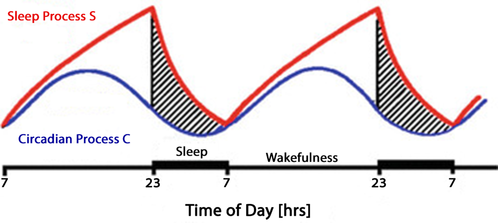 twoprocessmodel